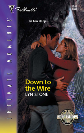 Title details for Down to the Wire by Lyn Stone - Available